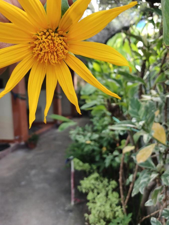 Melbao Homestay กิลิไอร์ ภายนอก รูปภาพ